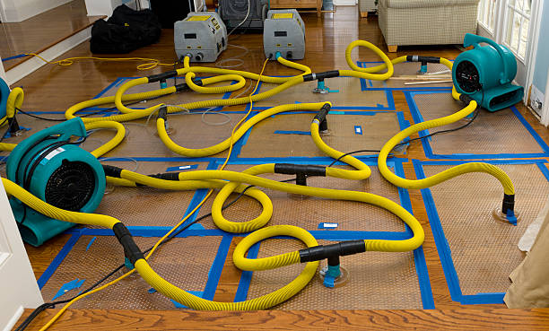 Professional Crawl Space Water Removal technician working in Galesville, MD